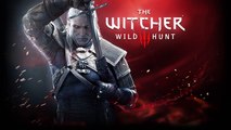 The Witcher 3  Wild Hunt   Sword of Destiny Music Extended