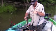 The secret to keeping Chicken livers on your hook: Catch more Channel Catfish