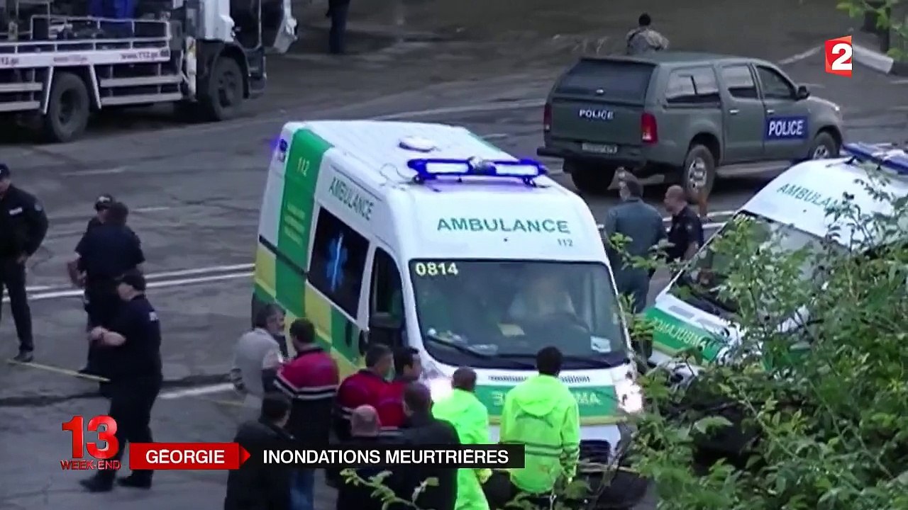 Inondations en Géorgie : des animaux sauvages dans les rues de la capitale