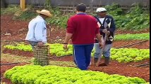 Reportagem TV Record sobre o Projeto Cidades sem Fome