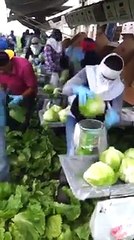 إلي مازال ايقول عنا فلاحة في تونس نجبدلو  وذنيه