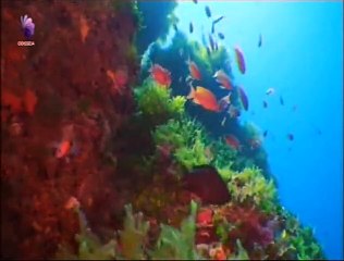 Mare Nostrum Episódio 1