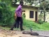 Vava Suresh catching a King Cobra. AMAZING !!!