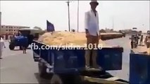 The World Largest Trolly Tractor