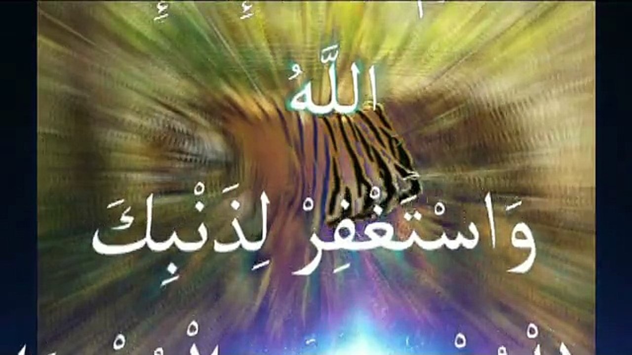 Les Miracles d'allah . Que Personne Ne Peut Nier.أجمل مقطع للتفكر في مخلوقات الله