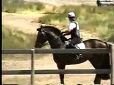Amorex- Swedish warmblood stallion-3 day-Cross Country