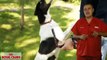 Malos hábitos alimentarios en mascotas  - Nutrición Royal Canin