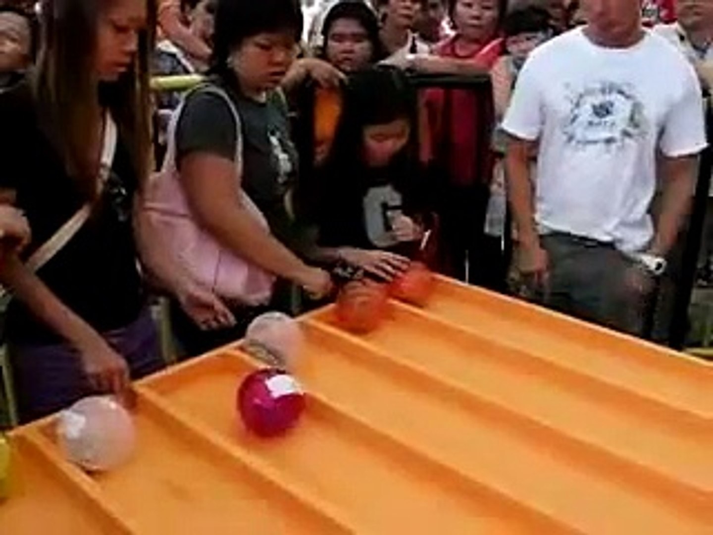 Hamster Race