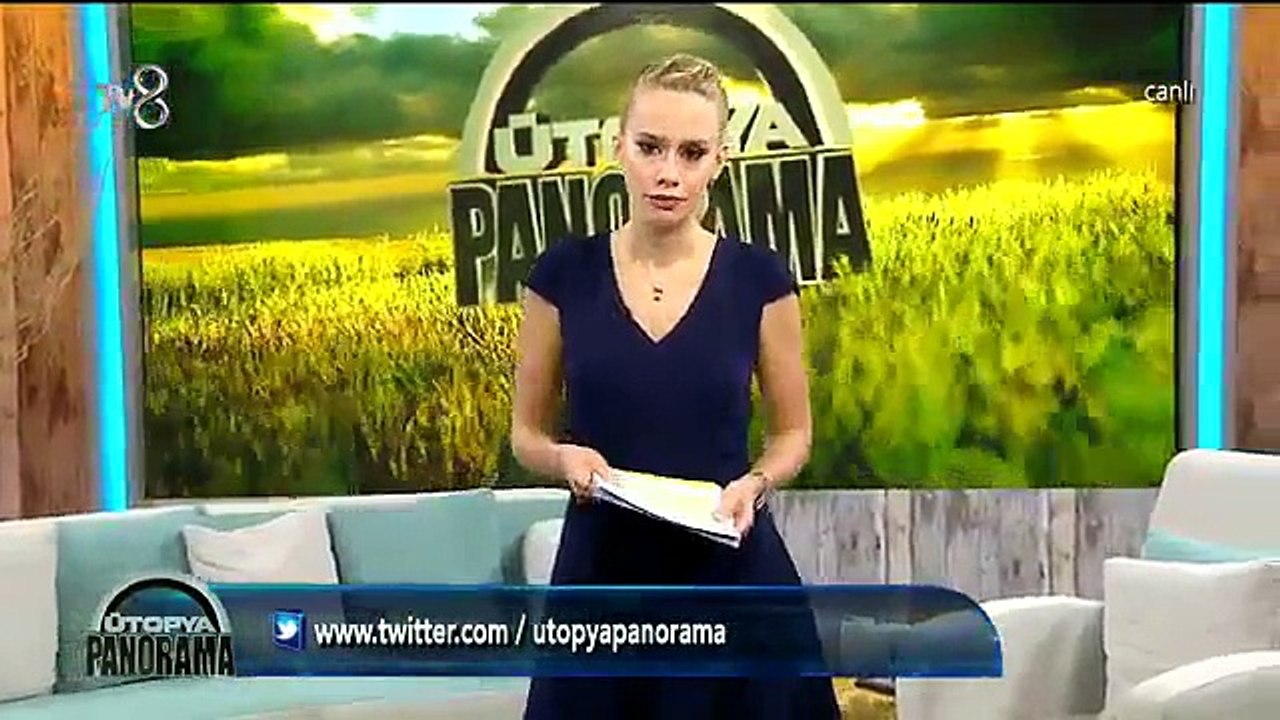 ÜP113_2TEM_001