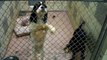 2009 Cocker Spaniel Rescue East Texas Houston SPCA Rosenberg Westminster Dog Show Breeder debrkd3
