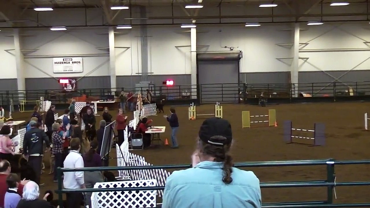 Belgian Sheepdog Lakota AKC Agility @ CDTA Trial Feb 26, 2012