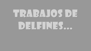 Trabajos delfines