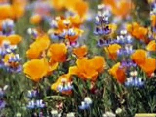 Julio jaramillo Dia de las Madres