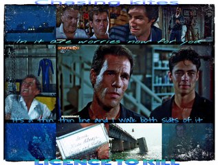 - LICENCE TO KILL - ***Chasing Kites ***