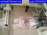 Flow Wrapper machine,Flow Wrapping machine, Horizontal Flow Wrapper machine