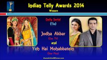 Indian Telly Awards 2014 Winners List