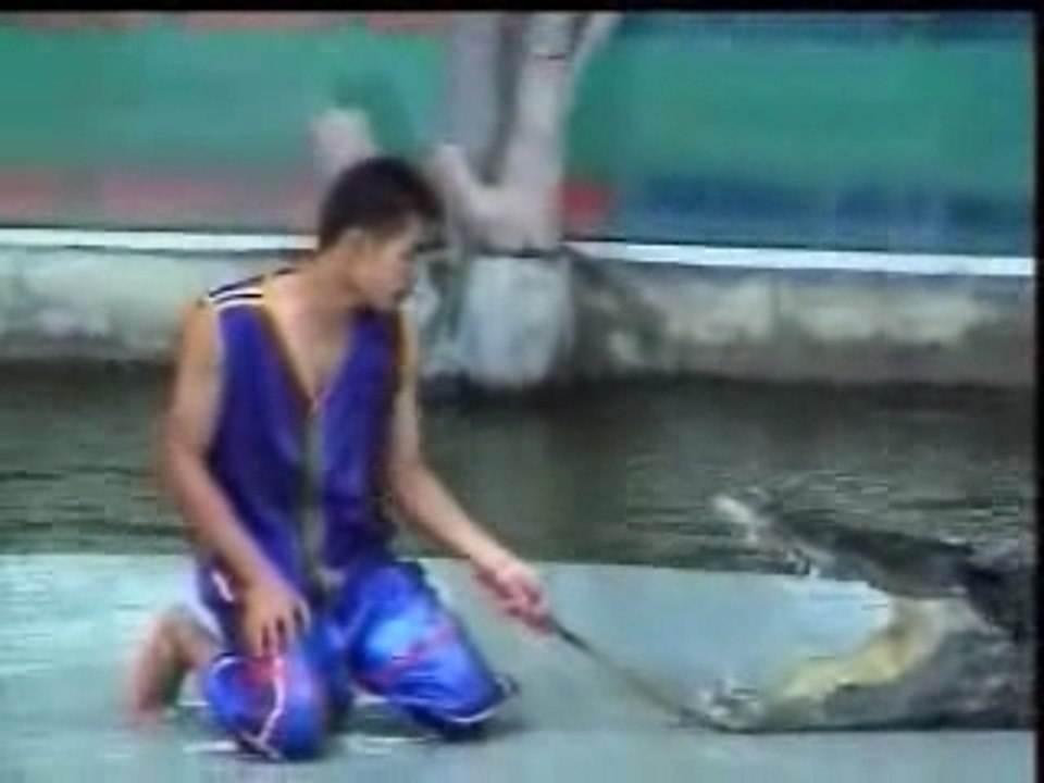 TheAsianCroco