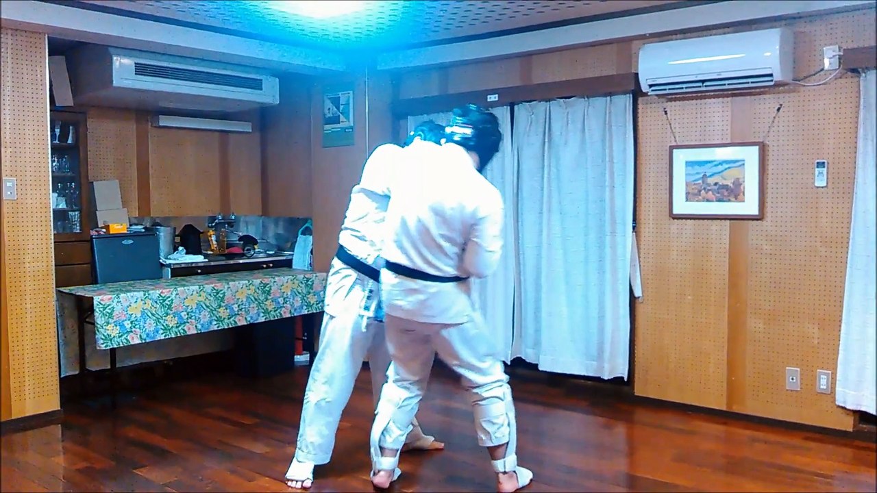 えっ実戦的！これが日本の合気道！？顔面攻撃あり 武術合気道組手！「覇天会」AIKIDO HATENKAI