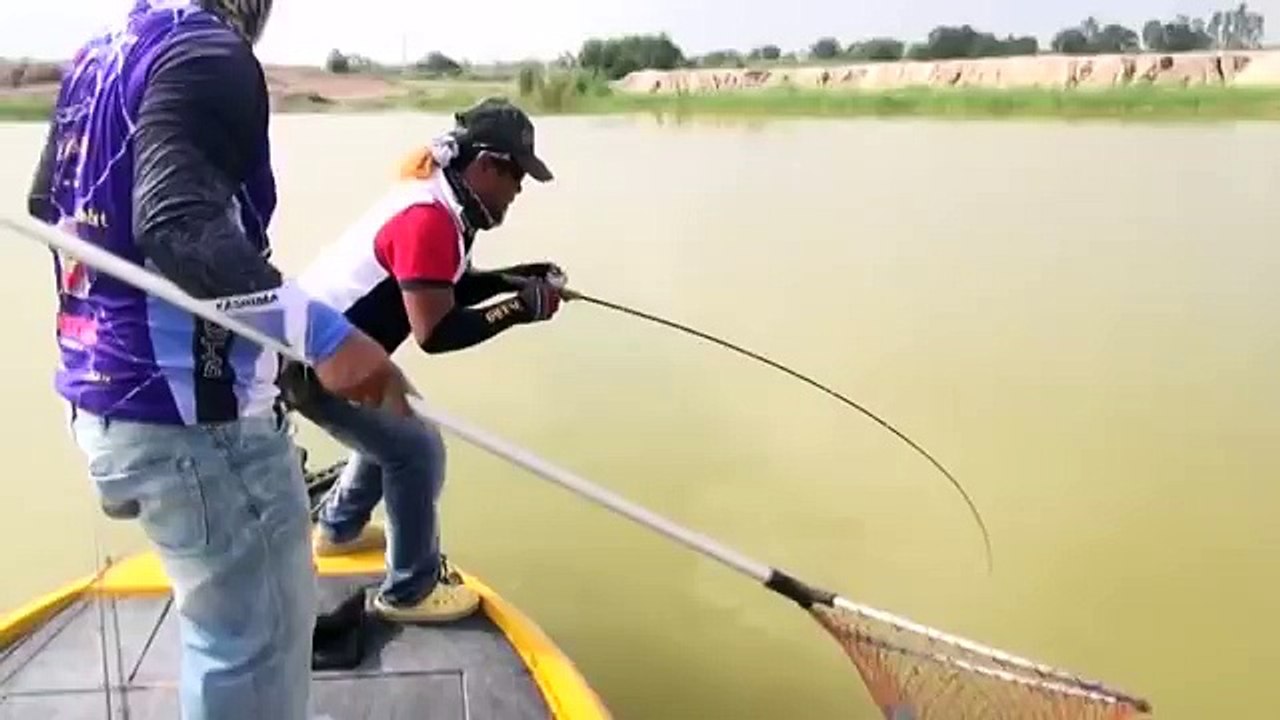 Câu cá Lóc Bông ở Thái Lan