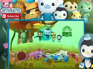 The Octonauts Cartoon 1x08 The Great Algae Escape