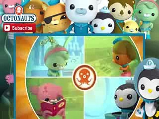 The Octonauts Cartoon 1x13 The Lost Sea Star