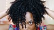 My Top 14 Tips for a Defined Twist Out on Natural Hair