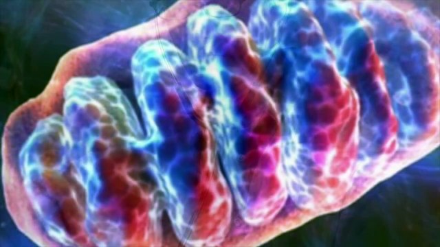ENERGIA VITALE (psico quantistica)