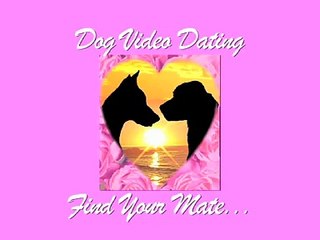 Watch Videos Online - Dog Video Dating - Veoh.com