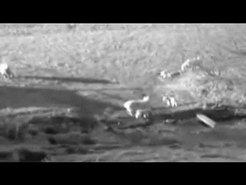 Agnus Dei - Worthy is the Lamb