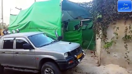 وليد جو تيوب | مصارعة كلب قوقازي شرس -وافعي حتا الموت 2015