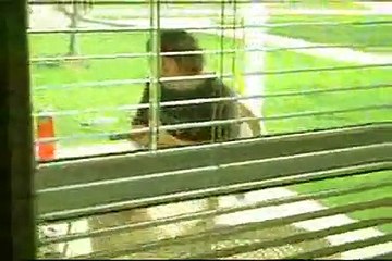 wife learn to never touch gun again