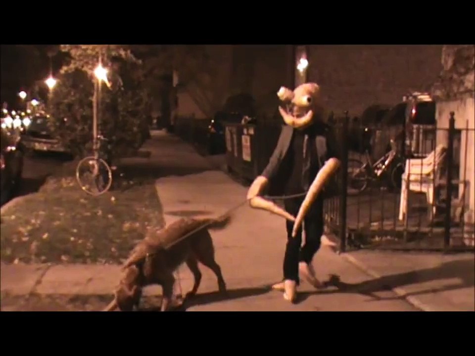 Taking the dog for a stroll