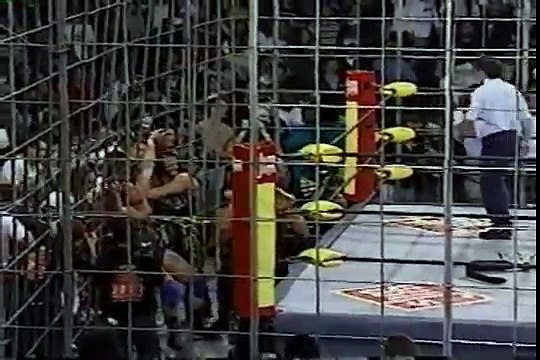 Hollywood Hulk Hogan & Macho Man Randy Savage beat the shit out of a fan