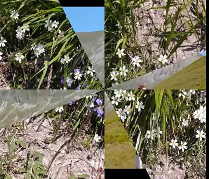 Parco Nazionale dei Monti Sibillini - Cresta e cima del Redentore