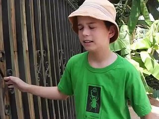 פינת חי חמודה בכפר סבא