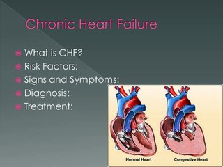 Cardiovascular Diseases and Disorders Lecture 3 Heart Narrated