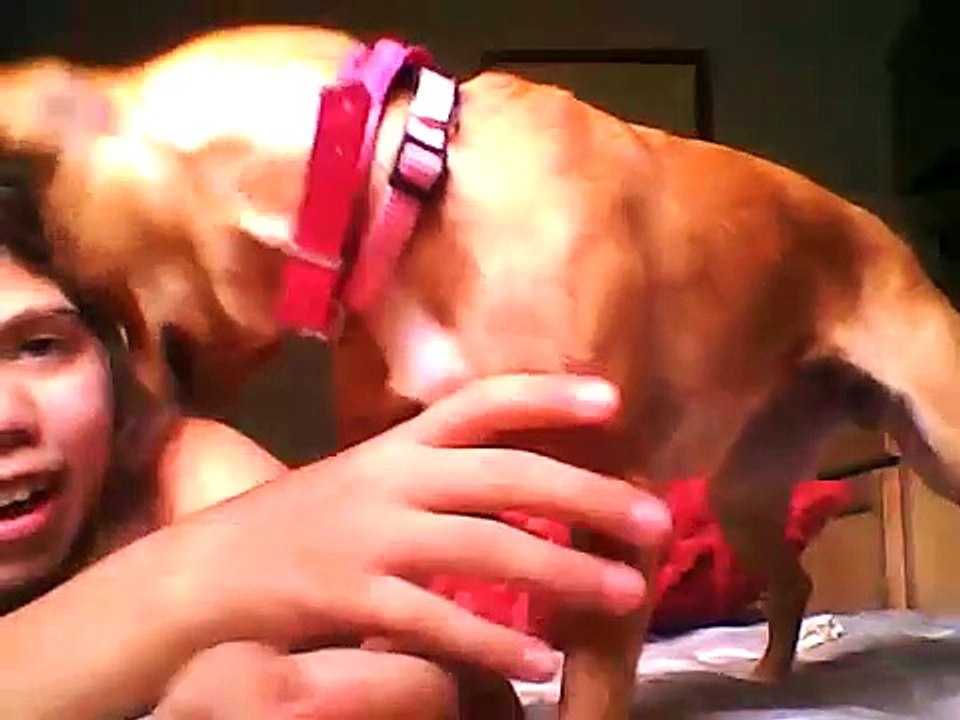 Fighting with a dog