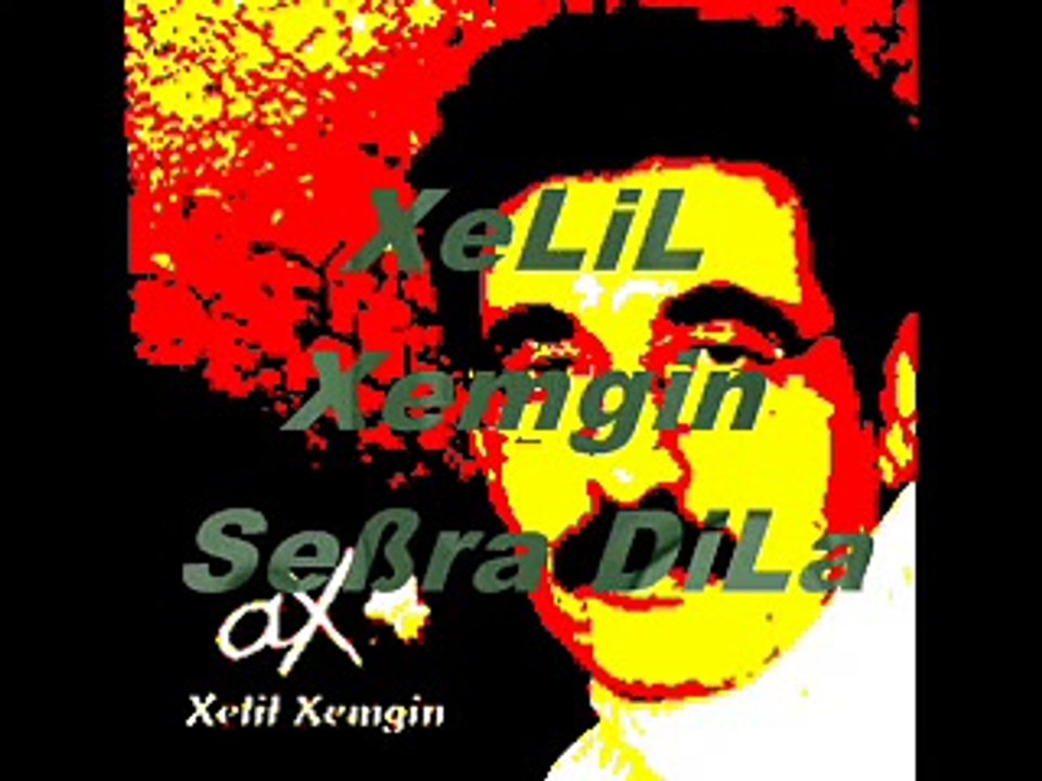 XeLiL Xemgin Sebra DiLa