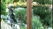 Backyard Pond, Landscaping in Colorado, by Ponds and Patios