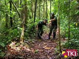 Portal TK1 - Conheça o trabalho da Polícia Militar Ambiental, em defesa da vida e da natureza