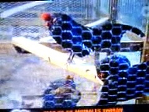 Veedurias a establecimientos donde manipulan Animales por Aprofac