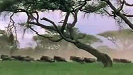 Seventh Heaven By S S Of Buddha Bar HD Wonderful African Chill Out Music mpeg4