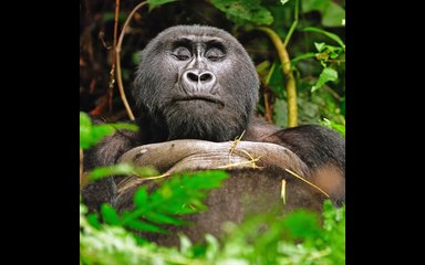 NATIONAL GEOGRAPHIC PHOTOGRAPHY CONTEST 2011