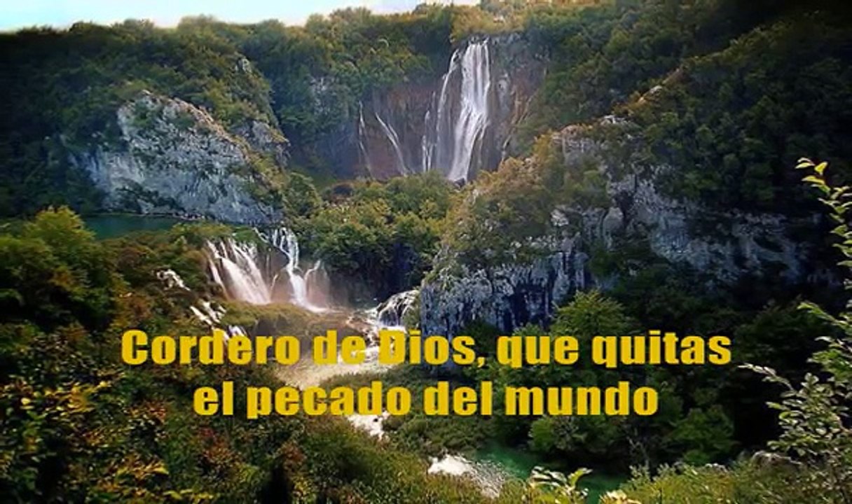 Cordero de Dios, que quitas el pecado del mundo.