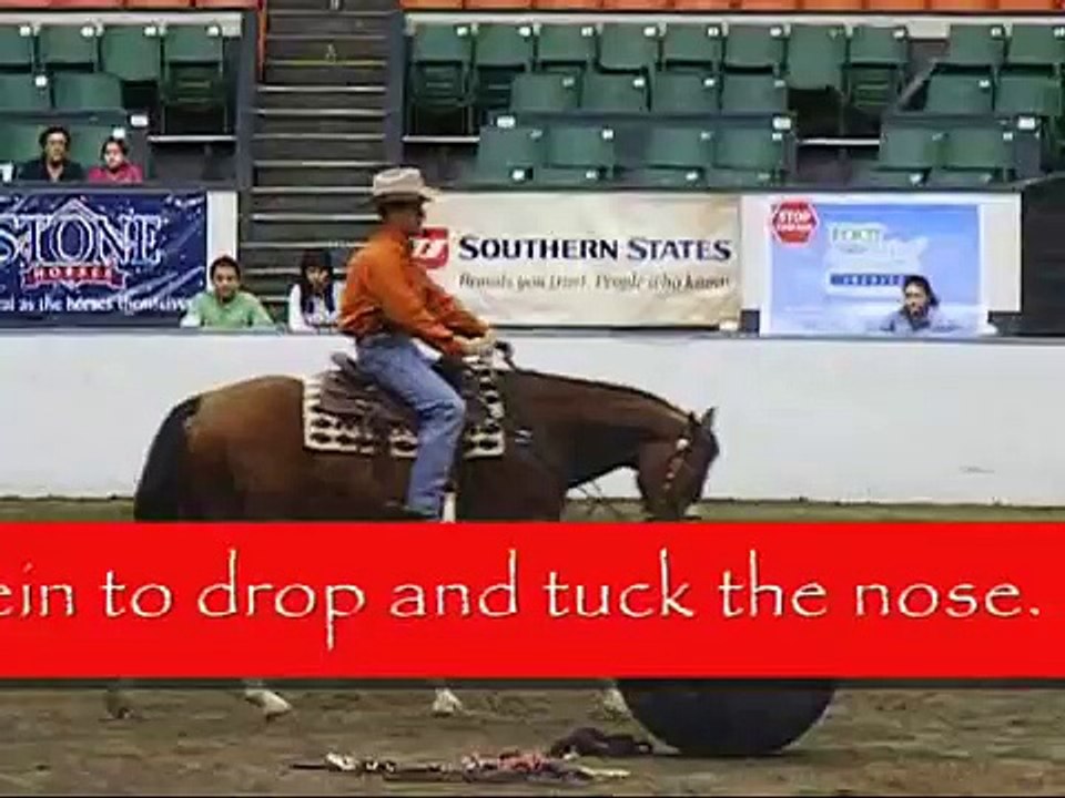 Tommy garland lateral flexion