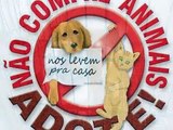 Cães para adoção no CAMAC de Vila do Porto -16-11-12  (José Melo-CADEP-CN e Amigos dos Açores)