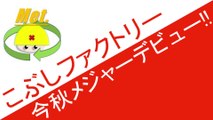 こぶしファクトリー 今秋メジャーデビュー!! ハロプロニュース