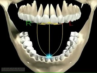 Mandibular Movement 3D Graphic Video