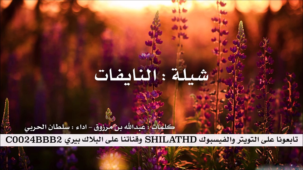 شيلة : النايفات - اداء سلطان الحربي | أصلي + مسرع | شيلات 2015