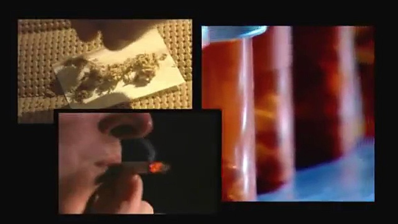 REAL LIFE DRUG STORY VIDEOS -- Drug Addiction Experiences/Teenage Drugs Stories